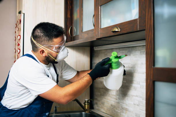 Wasp Removal Services in Port Washington, NY