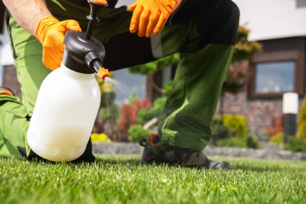 Insect Control in Port Washington, NY