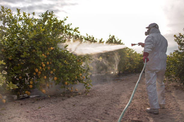 Best Residential Pest Control  in Port Washington, NY